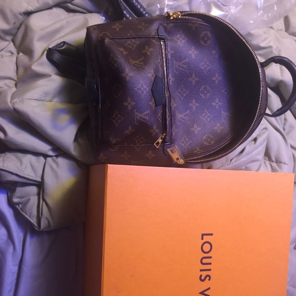 Luis Vuitton Backpack - Picture 2 of 6